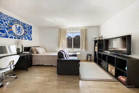 63 Schermerhorn Street Studio-2 Beds Apartment for Rent - Photo Gallery 63